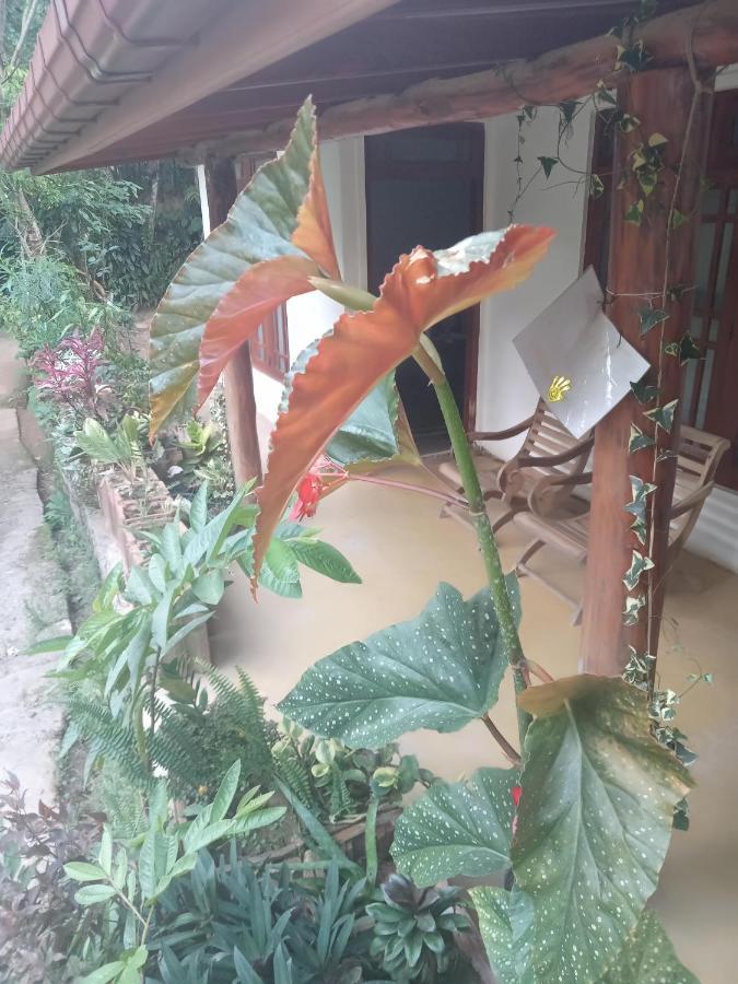 Supipi Homestay 엘라 외부 사진