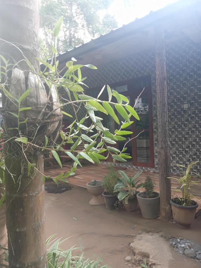 Supipi Homestay 엘라 외부 사진
