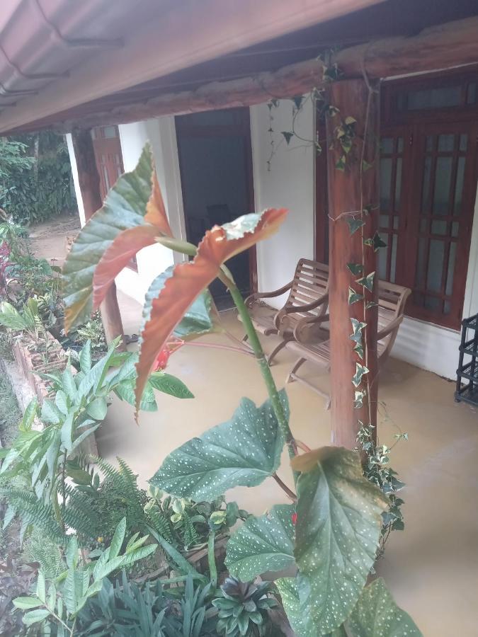 Supipi Homestay 엘라 외부 사진