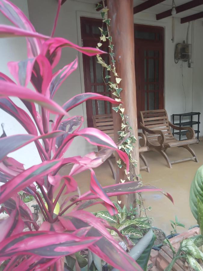 Supipi Homestay 엘라 외부 사진