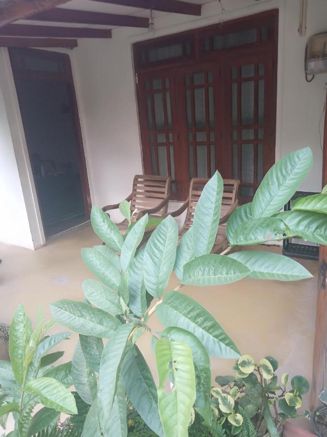 Supipi Homestay 엘라 외부 사진